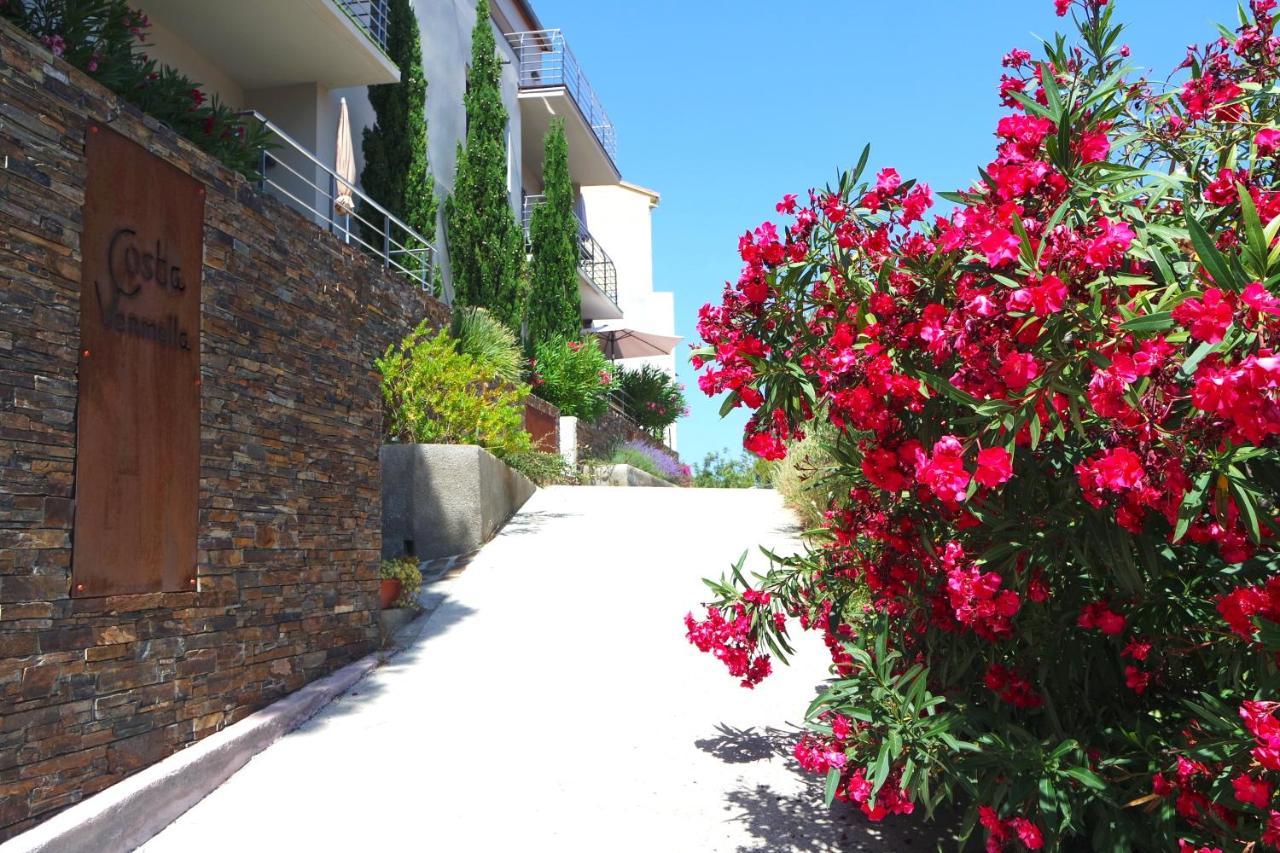 Residence Costa Vermella, Vue Mer Et Montagne Au Calme Cerbere Ngoại thất bức ảnh